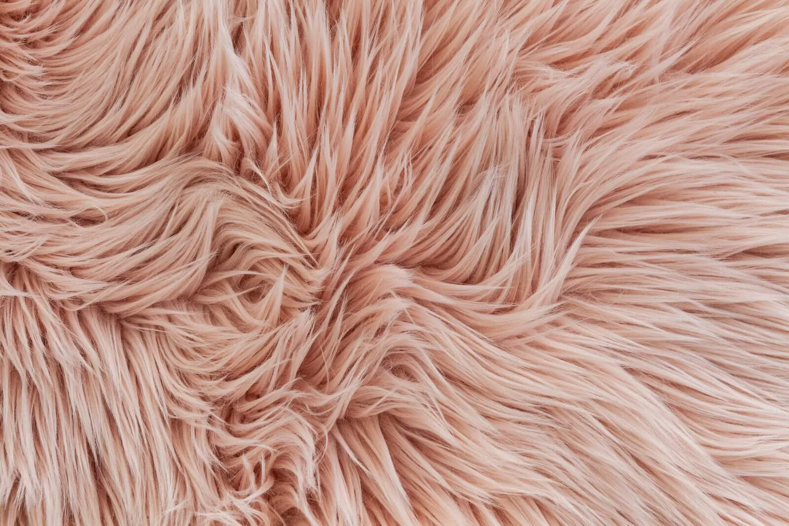 Synthetic Rug Cleaning